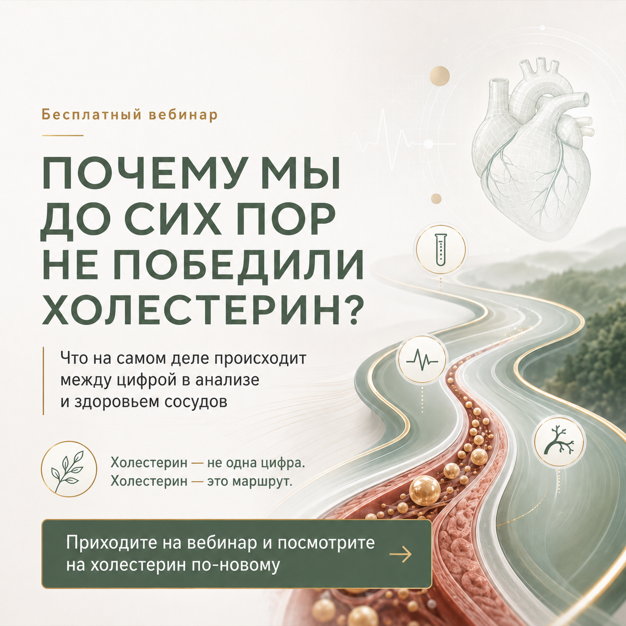 Почему мы до сих пор не победили холестерин?